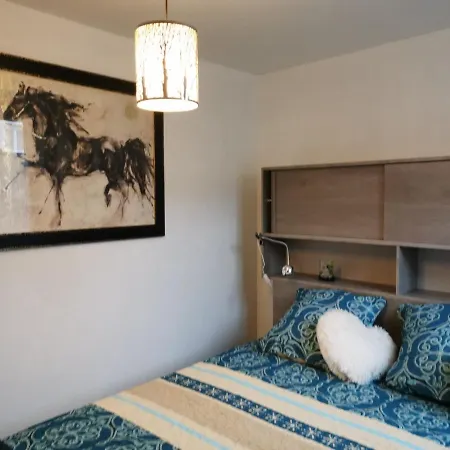 Au Petit Bonheur Malouin 公寓 马洛莱班